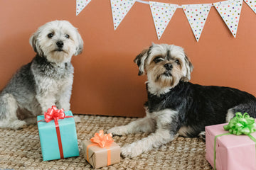 Gifts for Pets