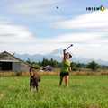 Irish Supply, TENNISTOSS Pet Tennis Ball Launcher