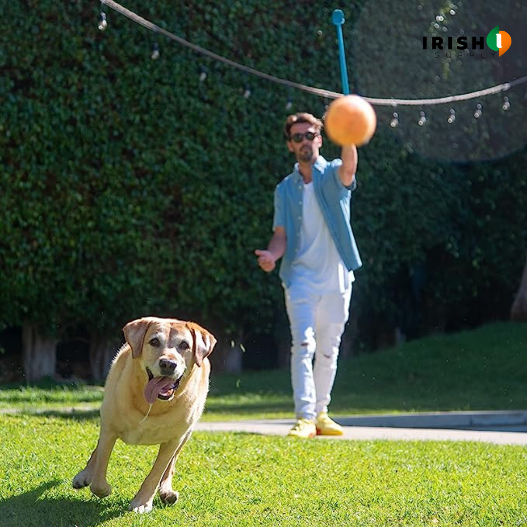 Irish Supply, TENNISTOSS Pet Tennis Ball Launcher