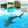 Irish Supply, SHARKY, Remote Controlled Swimming Shark Toy