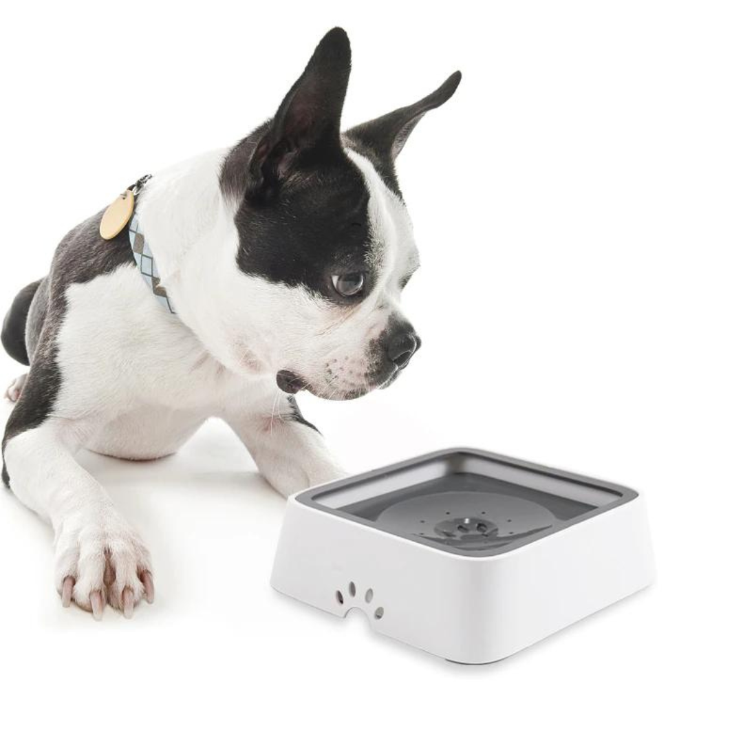 Irish Supply, NOMESS Dog Anti Spill Bowl