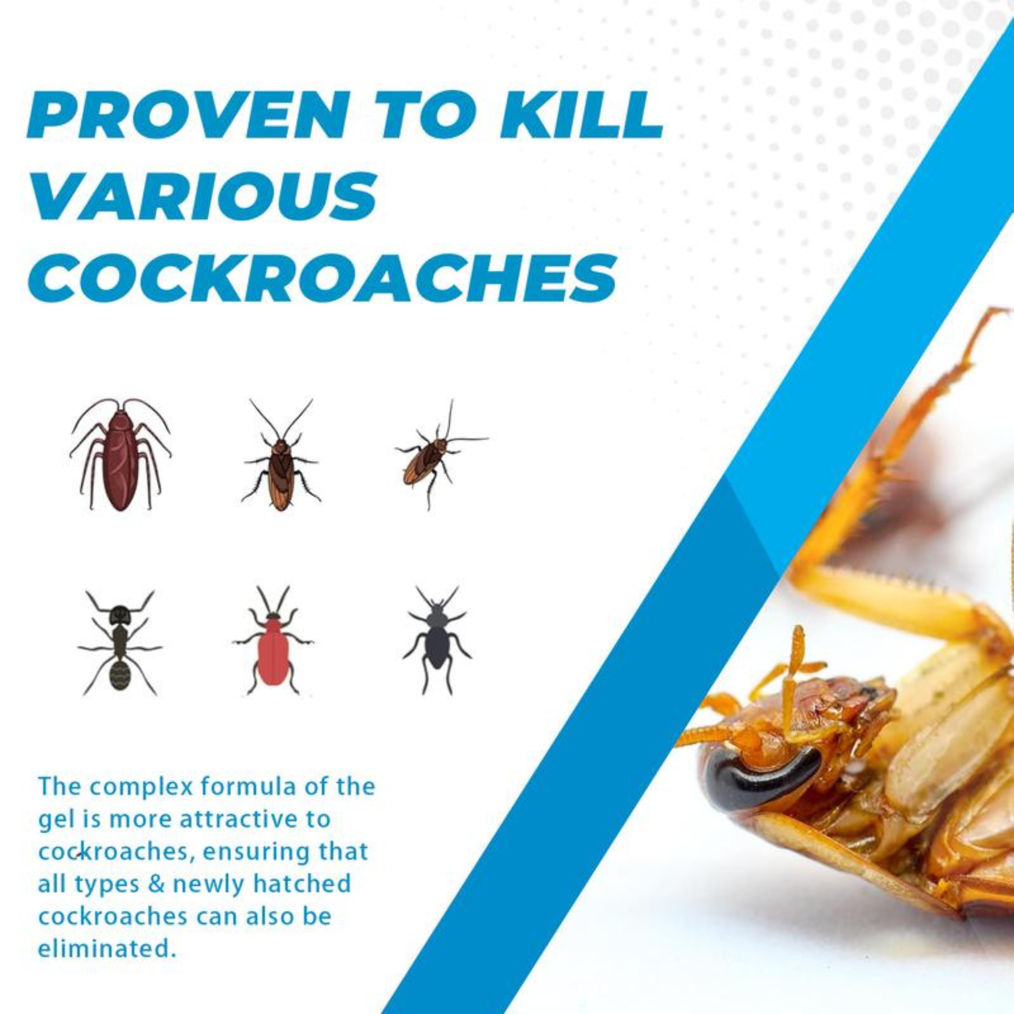 NESTSTRIKE Cockroach Eliminator Gel (30g)