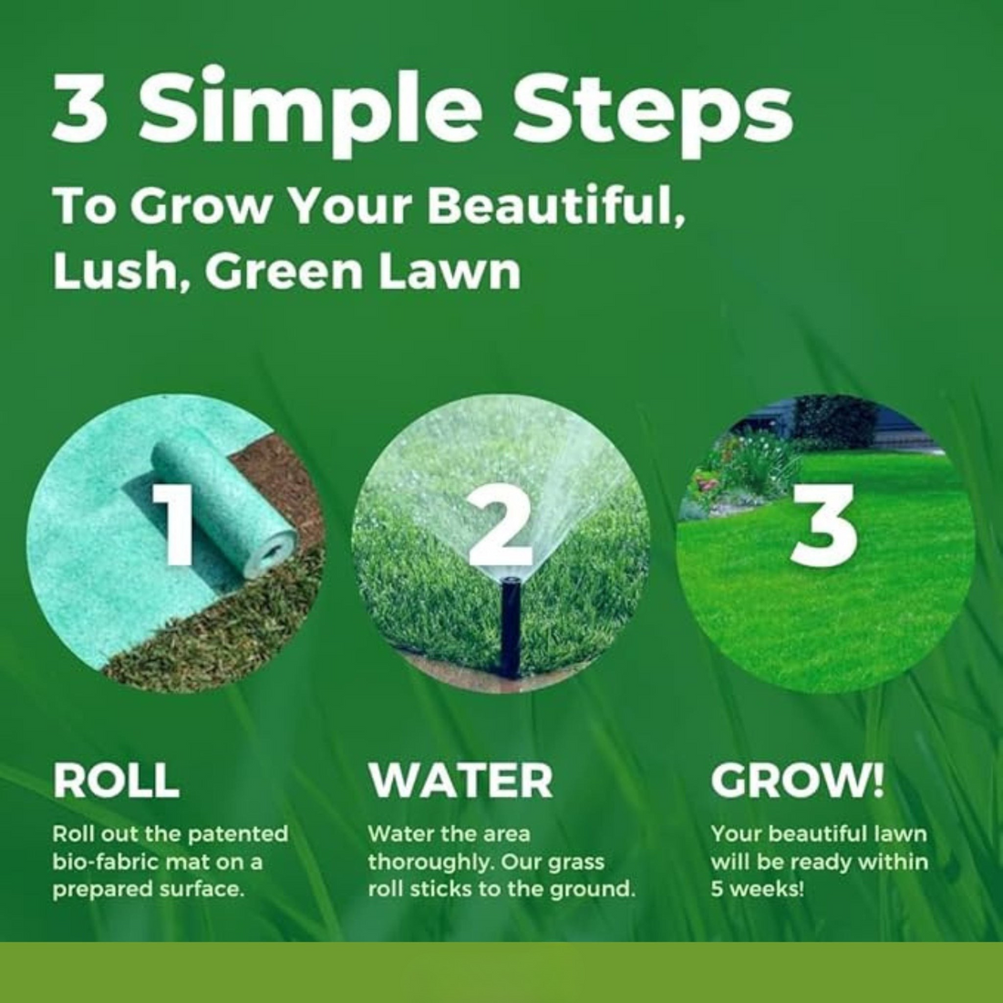 PLANTFUSE Pro-Grade Seed Mat for Lawns