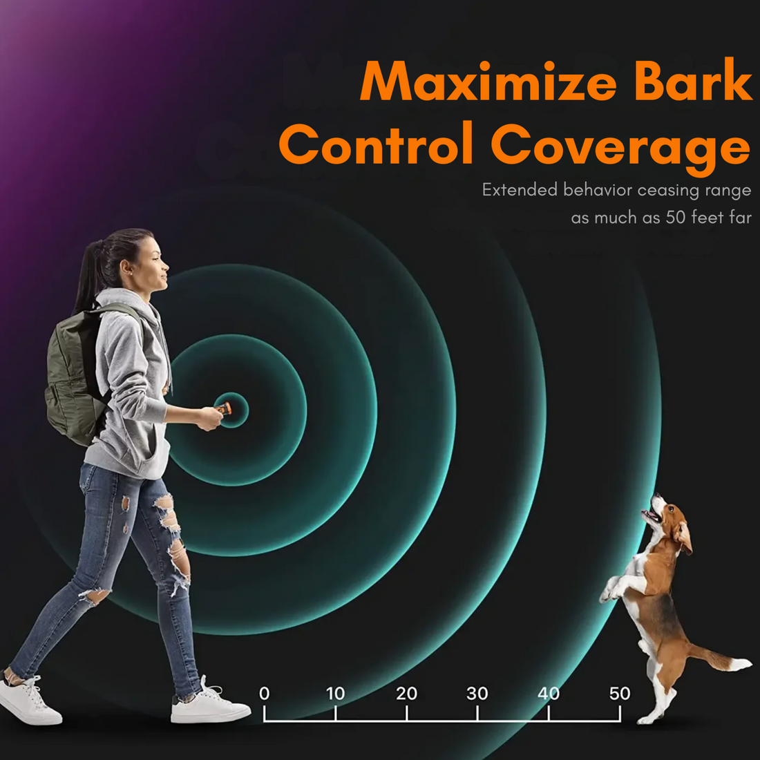 QUIETPET Dog Bark Deterrent Device